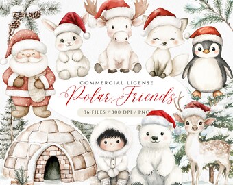Watercolor Arctic Animals Clipart: Christmas Polar Friends PNG (36 Files)
