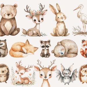 Clipart Woodland Boho, clipart mignon animaux des bois, bébés animaux, clipart Woodland baby shower, pépinière des bois, animaux de la forêt Boho image 3