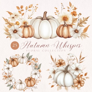 Clipart di zucche e fiori ad acquerello: grafica autunnale beige (download digitale)