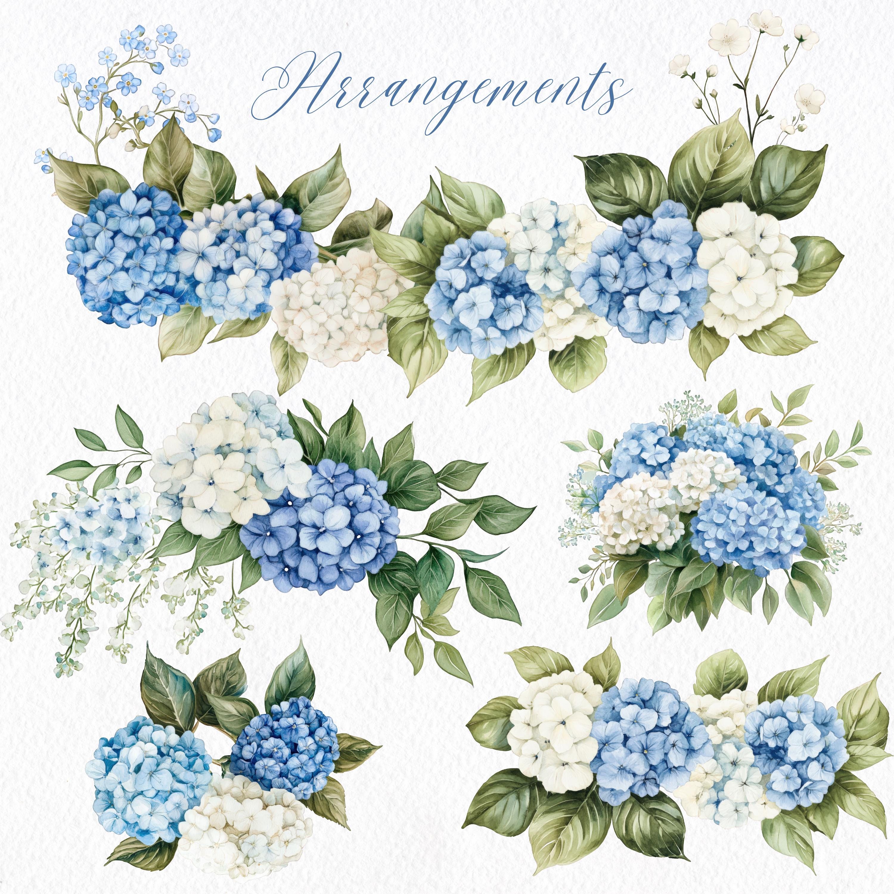 Blue Hydrangea Watercolor Clipart Bundle, Floral Frames & Wreaths ...