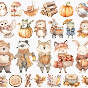 May include: Watercolour illustrations of autumn animals and elements. Includes a hedgehog, owl, frog, fox, bear, rabbit, and mouse, each with fall accessories. Also features pumpkins, mushrooms, leaves, and logs.