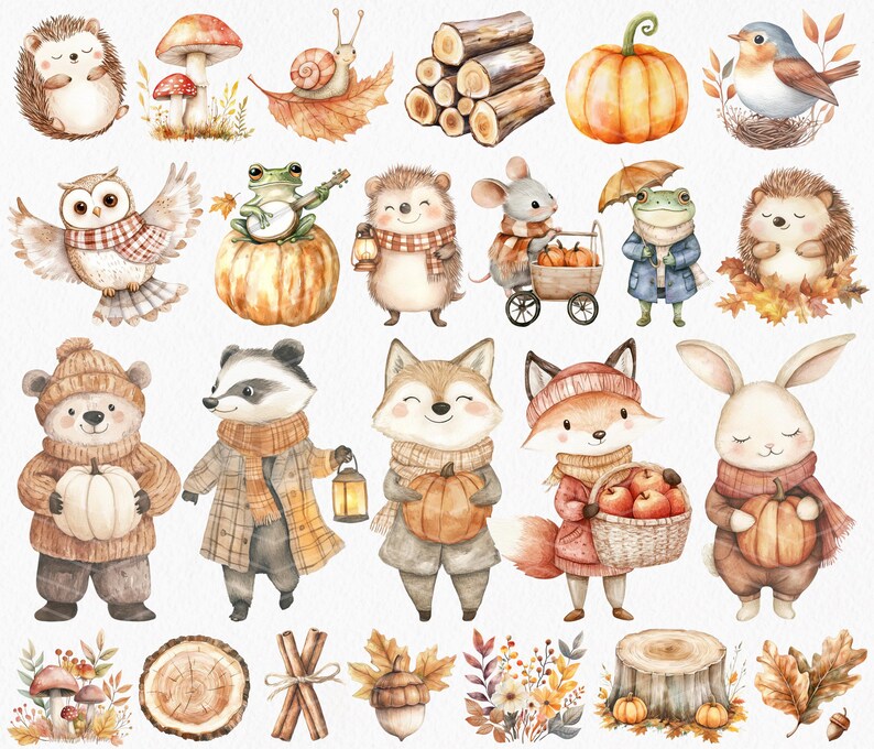 May include: Watercolour illustrations of autumn animals and elements. Includes a hedgehog, owl, frog, fox, bear, rabbit, and mouse, each with fall accessories. Also features pumpkins, mushrooms, leaves, and logs.