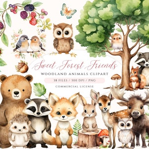 Clipart acquerello animali del bosco, clipart animali della foresta simpatici animali del bosco, arredamento della scuola materna, clipart per bambini nel bosco, orso volpe gufo