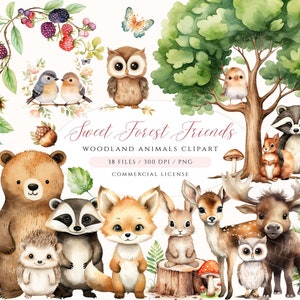 Woodland Animals Watercolor Clipart, Forest Animals Clipart Cute Woodland Animals, Nursery Decor, Woodland Baby Shower Clipart, Bear Fox Owl