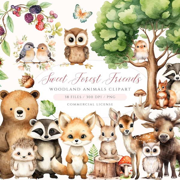 Woodland Animals Watercolor Clipart, Forest Animals Clipart Cute Woodland Animals, Nursery Decor, Woodland Baby Shower Clipart, Bear Fox Owl