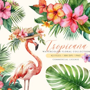 Aquarelle Clipart tropical, Tropicana, Clipart flamant rose, fleurs tropicales, Clipart de feuilles tropicales, Monastera PNG Bouquets tropicaux, été
