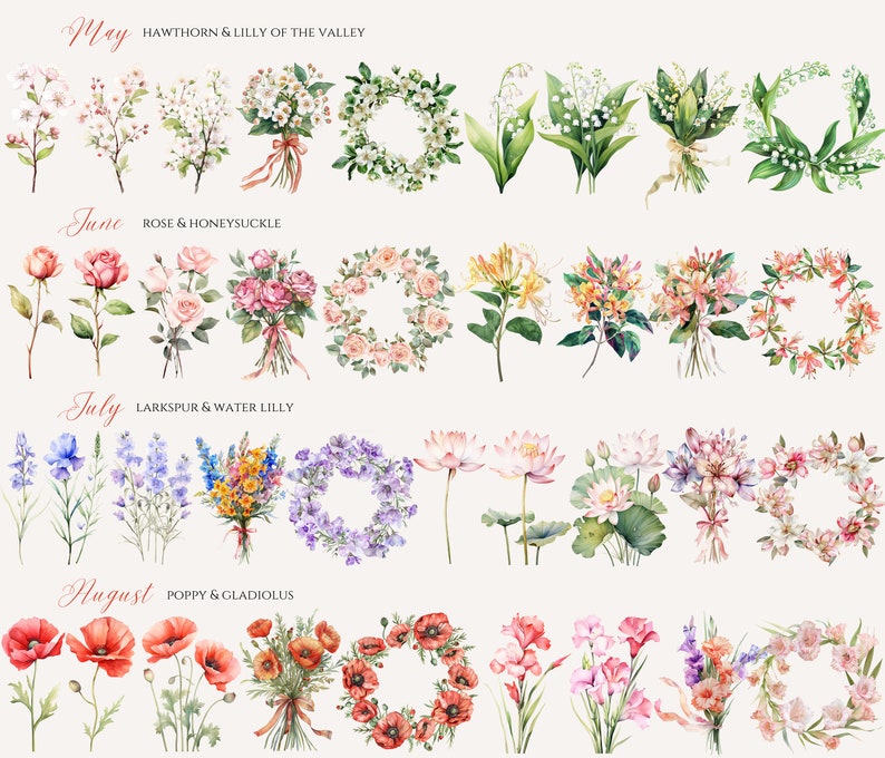 May include: Watercolor illustrations of flowers for each month of the year. May: Hawthorn and Lily of the Valley. June: Rose and Honeysuckle. July: Larkspur and Water Lily. August: Poppy and Gladiolus.