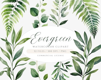 Watercolor Greenery Clipart Bundle DIY Botanical Clipart Watercolor Eucalyptus Clipart Wedding Clipart Watercolor Leaves Green Foliage