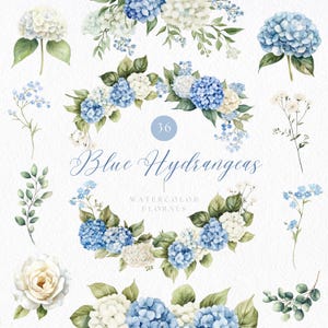 May include: Watercolor floral illustrations featuring blue and white hydrangeas, green leaves, and other delicate flowers. The text "Blue Hydrangeas" and "Watercolor Florals" are displayed in elegant script. A variety of floral arrangements are shown.