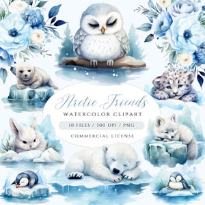 Clipart animaux de l'Arctique, bébés animaux amis de l'Arctique, clipart Winter Wonderland, animaux de l'Arctique PNG, Clipart pingouin, Clipart animaux polaires