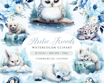 Pode incluir: Clipart de aquarela com adoráveis animais árticos, incluindo um urso polar, uma coruja das neves, uma foca, um pinguim, uma raposa e um leopardo das neves. Os animais são representados em icebergs com fundos azuis de aquarela. O texto "Arctic Friends Watercolor Clipart" é exibido em uma fonte decorativa.