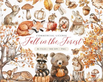 Fall Woodland Clipart, Autumn Forest PNG, Cute Woodland Animals, Mushroom Clipart, Autumnal Wreaths, Frames, Mushroom Borders, Bear, Deer