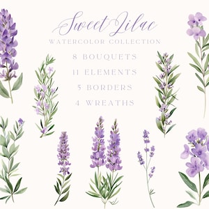 Puede incluir: Ilustraci&oacute;n de acuarela de una colecci&oacute;n de flores de lila y vegetaci&oacute;n. La colecci&oacute;n incluye 8 ramos, 11 elementos, 5 bordes y 4 coronas. El texto "Sweet Lilac Watercolor Collection" est&aacute; escrito en la parte superior de la imagen.