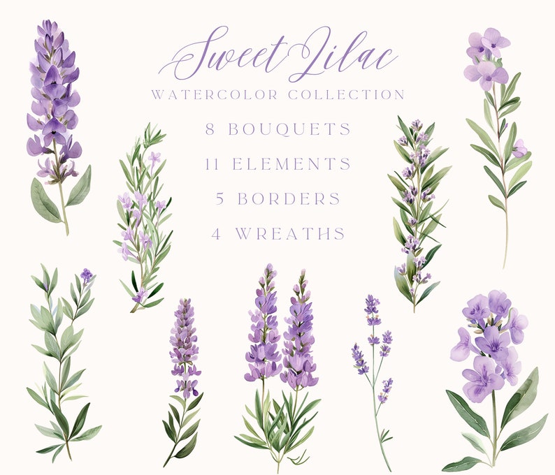 Puede incluir: Ilustraci&oacute;n de acuarela de una colecci&oacute;n de flores de lila y vegetaci&oacute;n. La colecci&oacute;n incluye 8 ramos, 11 elementos, 5 bordes y 4 coronas. El texto "Sweet Lilac Watercolor Collection" est&aacute; escrito en la parte superior de la imagen.