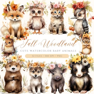 Ensemble de cliparts bébés animaux de la forêt mignons bébés animaux d'automne PNG Clipart paysage de forêt Illustrations de bébés animaux d'automne bébé animal PNG