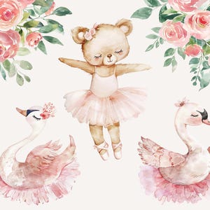May include: A watercolor illustration of a brown teddy bear wearing a pink tutu and ballet shoes, with two pink swans wearing tutus on either side of the bear.