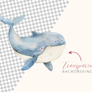 Op de afbeelding: Een aquarel-illustratie van een blauwe walvis met een witte buik en een gestippeld patroon. De walvis zwemt met zijn bek open en zijn staart in de lucht. De achtergrond is transparant.