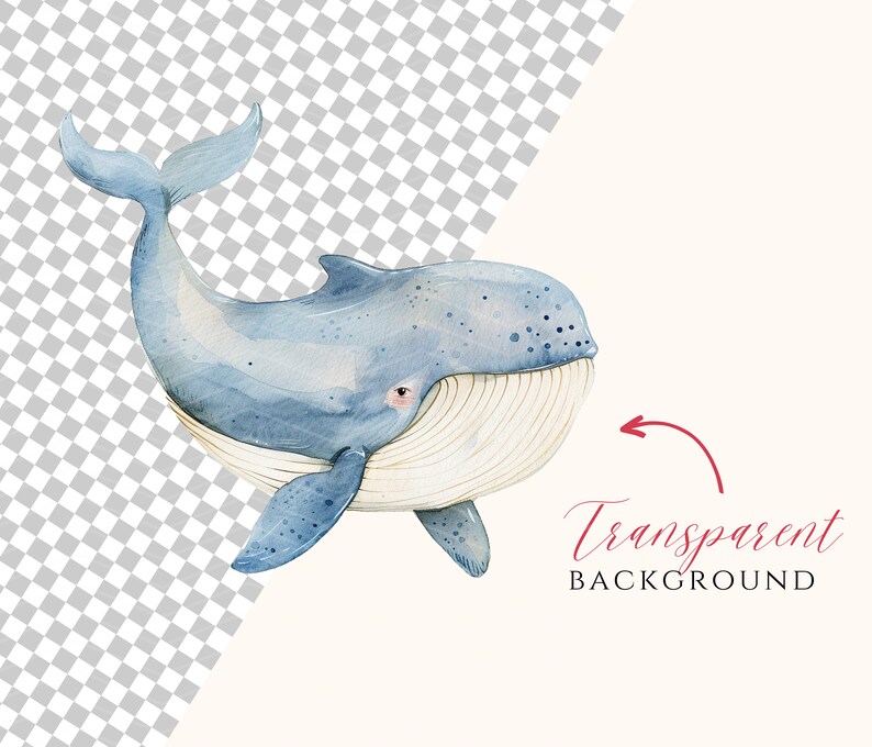 Op de afbeelding: Een aquarel-illustratie van een blauwe walvis met een witte buik en een gestippeld patroon. De walvis zwemt met zijn bek open en zijn staart in de lucht. De achtergrond is transparant.