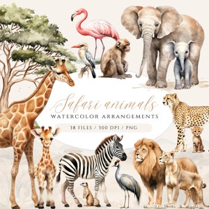 Aquarel Safari dieren clipart, Safari familie clipart, Safari baby dieren, Safari full size dieren, jungle dieren clipart, Safari PNG