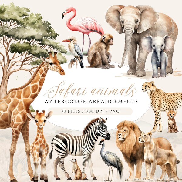 Clipart animali Safari acquerello, Clipart famiglia Safari, Cuccioli Safari, Animali Safari a grandezza naturale, Clipart Animali della giungla, Safari PNG