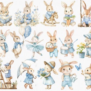 Pu&ograve; includere: Un set di 15 illustrazioni ad acquerello di conigli in varie pose e abiti. I conigli indossano vestiti, suonano strumenti, tengono oggetti e svolgono attivit&agrave;. Le illustrazioni sono dipinte in uno stile fantasioso con colori tenui.