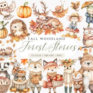 May include: A watercolour illustration of woodland creatures, pumpkins, and autumn leaves. The text "Fall Woodland Forest Stories" is displayed. Includes an owl, deer, hedgehog, frog, mouse, fox, bear, and squirrel. 72 files, 300 DPI, and PNG format.