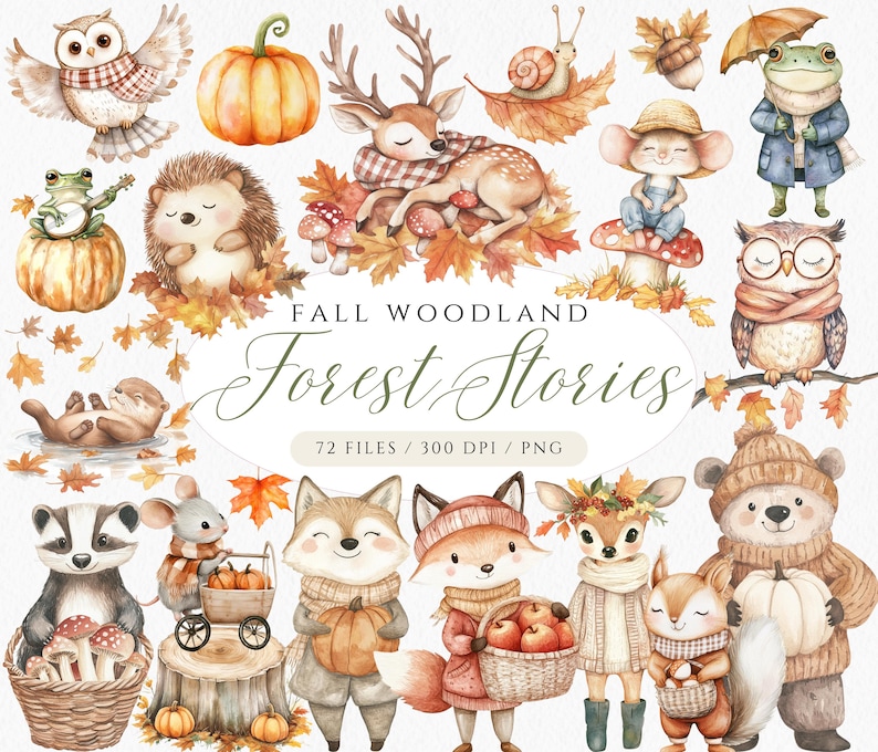 May include: A watercolour illustration of woodland creatures, pumpkins, and autumn leaves. The text "Fall Woodland Forest Stories" is displayed. Includes an owl, deer, hedgehog, frog, mouse, fox, bear, and squirrel. 72 files, 300 DPI, and PNG format.