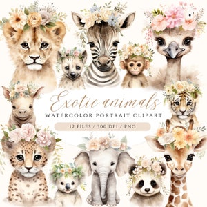 Safari Animal Retrato Lindo Safari Animales Acuarela Safari Baby Shower Clipart Safari PNG Uso Comercial Vivero Safari Animales León PNG