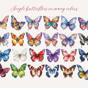 May include: Watercolor illustrations of butterflies in various colors, including blue, orange, purple, and red. The butterflies are arranged in rows on a cream-colored background. The text "Single butterflies in many colors" is at the top.