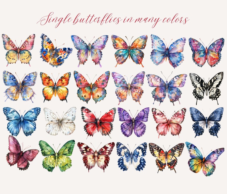 May include: Watercolor illustrations of butterflies in various colors, including blue, orange, purple, and red. The butterflies are arranged in rows on a cream-colored background. The text "Single butterflies in many colors" is at the top.