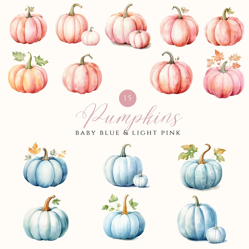 May include: A set of 15 watercolor illustrations of pumpkins in baby blue and light pink colors. The pumpkins are arranged in two rows, with the top row featuring pink pumpkins and the bottom row featuring blue pumpkins. The text "15 Pumpkins Baby Blue & Light Pink" is written in a cursive font below the pumpkins.