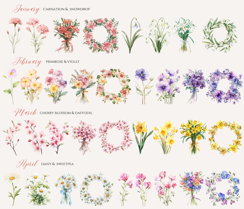 May include: Watercolor illustrations of flowers representing each month of the year. January features carnations and snowdrops, February features primroses and violets, March features cherry blossoms and daffodils, and April features daisies and sweet peas.