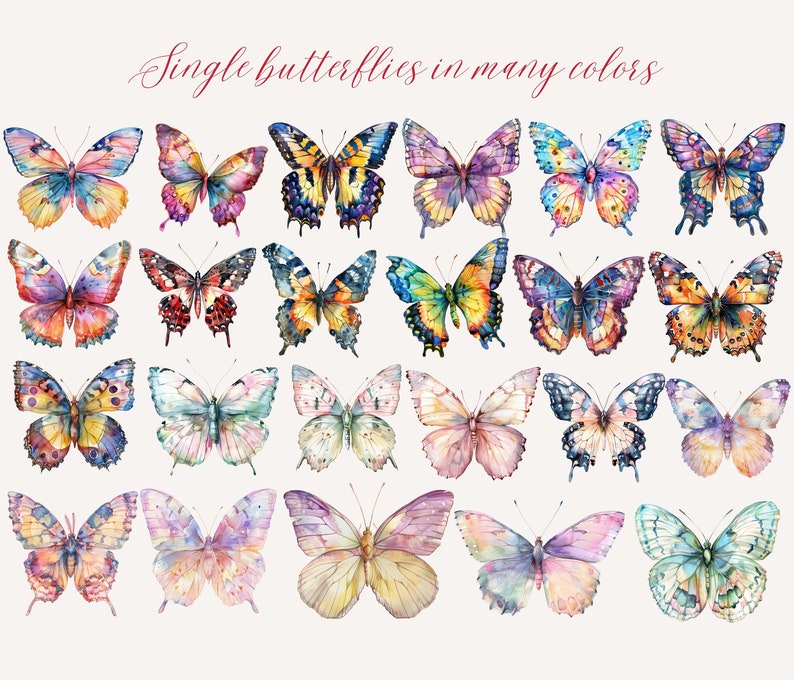 May include: Watercolor illustrations of butterflies in various colors. The butterflies have detailed wing patterns with shades of blue, yellow, orange, pink, and purple. The text "Single butterflies in many colors" is written in cursive at the top.