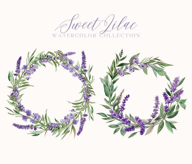 Puede incluir: Dos coronas de acuarela de flores de lavanda y hojas verdes. El texto "Sweet Lilac Watercolor Collection" est&aacute; por encima de las coronas.