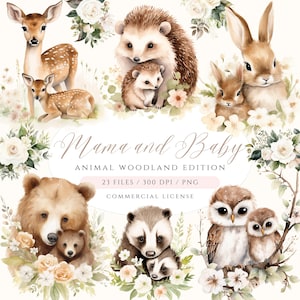 Clipart aquarelle maman et bébé animal, bébés animaux, animal mignon PNG, animaux de la forêt, clipart baby shower, clipart fête des mères