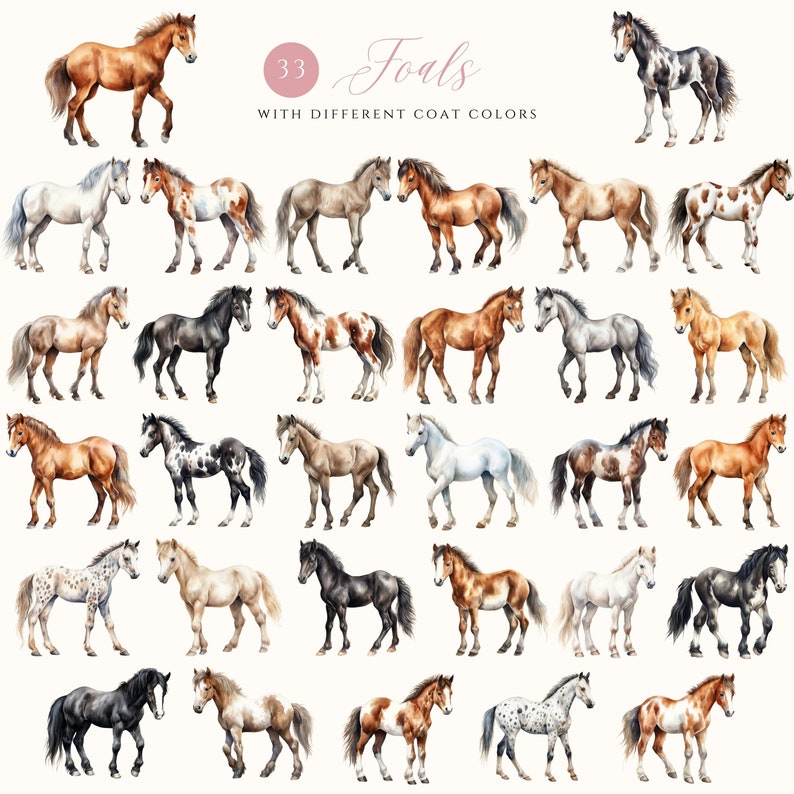 May include: 33 watercolor illustrations of foals with different coat colors. The foals are depicted in various poses, showcasing their unique markings and patterns.