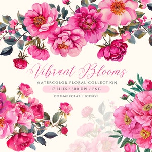 Clipart floral rosa vibrante, flores rosa quente PNG, flores vibrantes, clipart floral blush para casamento, clipart floral aquarela, peônias e rosa