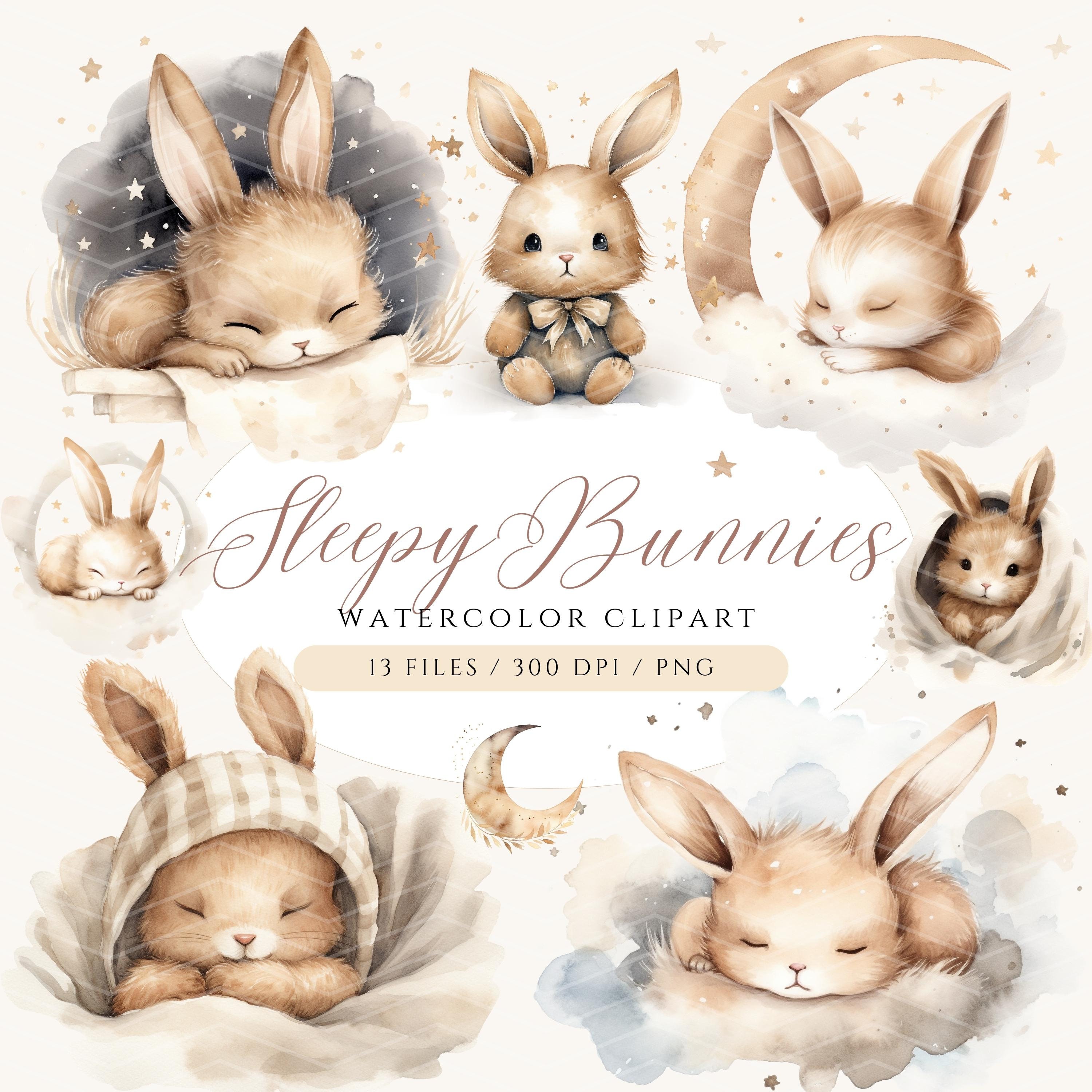 Bunnies Sleeping Art -  Canada