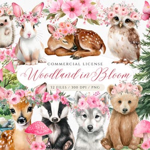 Clipart floral bois, forêt en fleurs, printemps dans la forêt, animaux de la forêt roses, mignons bébés animaux, bébés de la forêt, boho des bois