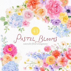 Peut inclure: Une collection d'arrangements floraux à l'aquarelle avec des fleurs roses, pêche, jaunes, bleues et violettes. Le texte 43 PASTEL BLOOMS watercolor floral arrangements est centré au milieu du motif floral sur un fond blanc.
