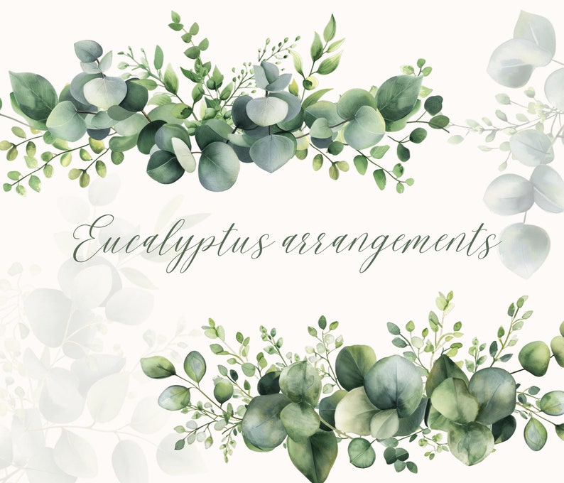 Watercolor Eucalyptus Clipart: Greenery & Gold PNG Images (digital ...