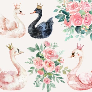 May include: Watercolor illustration of three swans with crowns and two bouquets of pink roses. The swans are white, black, and pink. The roses are pink and white.