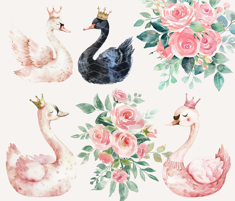 May include: Watercolor illustration of three swans with crowns and two bouquets of pink roses. The swans are white, black, and pink. The roses are pink and white.