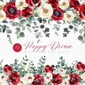 Rot und Creme Blumen Clipart, Aquarell Blumenarrangements, Blumenstrauß, Blumenkranz, Roter Blumenrand, Mohnblume PNG, Blumenrahmen