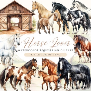 Bundle de cliparts aquarelle cheval poulain Clipart poney PNG licence commerciale Clipart équestre bébé cheval Clipart poney Clipart poulain PNG stable