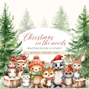 Boskerst clipart, aquarel bosdieren, schattige boskerst dieren clipart, schattige bosdieren, kerstversieringen