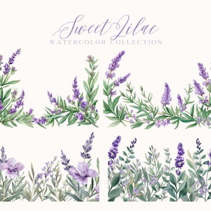 Puede incluir: Cuatro ilustraciones de acuarela de flores y follaje de lavanda. Las dos ilustraciones superiores presentan ramitas de lavanda con flores moradas y hojas verdes. Las dos ilustraciones inferiores presentan un borde de flores y follaje de lavanda con algunas flores blancas.