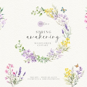 Aquarell Wildblumen Clipart, botanische Wildblumen Clipart, Blumenarrangements, Wildblumen Kranz, Wildblumen Grenze PNG, Frühling Clipart