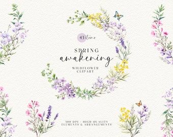 Watercolor Wildflower Clipart: Spring Floral Wreath & Border (PNG Digital Download)