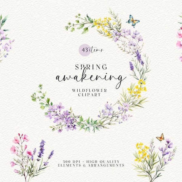 Watercolor Wildflower Clipart, Botanical Wild Flowers Clipart, Floral Arrangements, Wildflower Wreath, Wildflower Border PNG, Spring Clipart